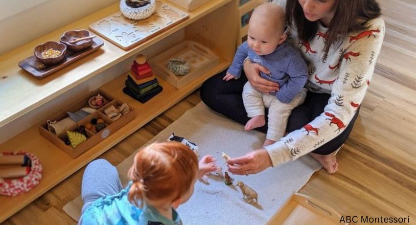 The Science of Cognition and Development Processes