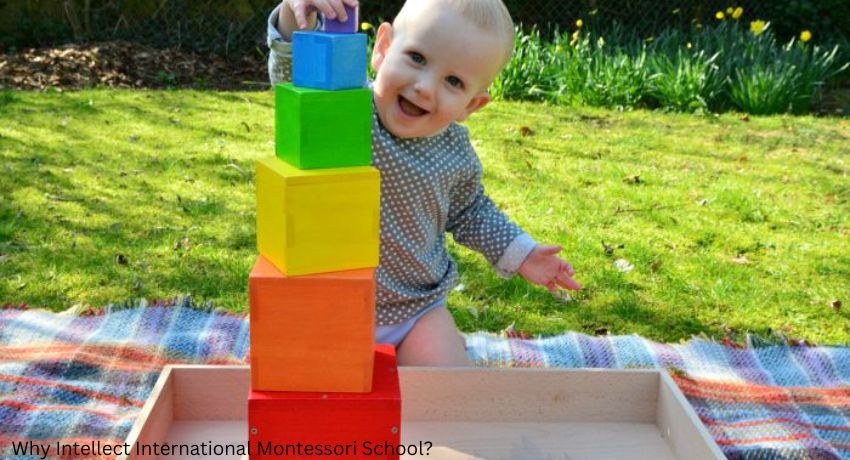 An image of Why Intellect International Montessori School?