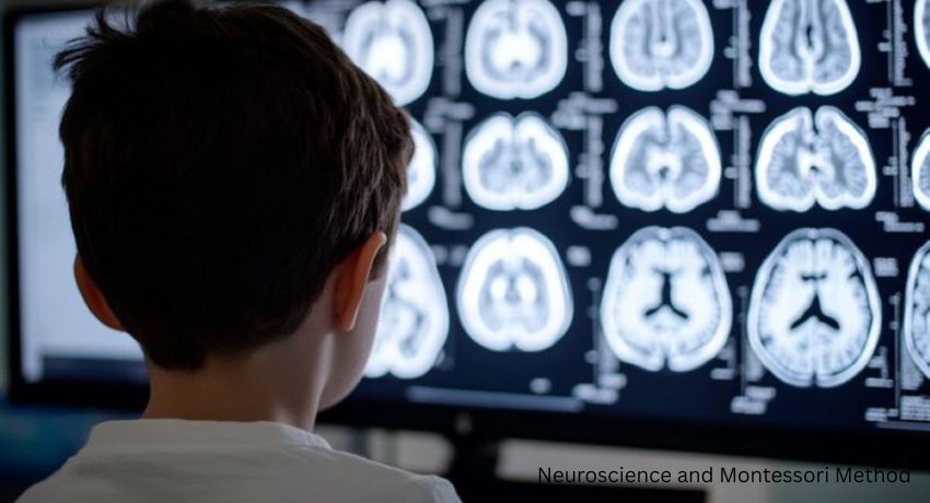 An image of Neuroscience and Montessori Method