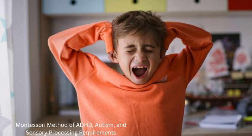 An image of Montessori Method of ADHD, Autism, and Sensory Processing Requirements